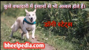 Dog Quotes Status Thoughts in hindi | डॉग कोट्स स्टेटस थॉट्स हिंदी में 