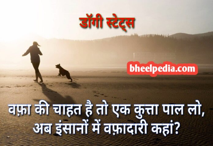 Dog Quotes Status Thoughts in hindi | डॉग कोट्स स्टेटस थॉट्स हिंदी में