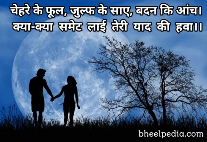 100 Best New Love Shayari in Hindi - लव शायरी हिंदी में