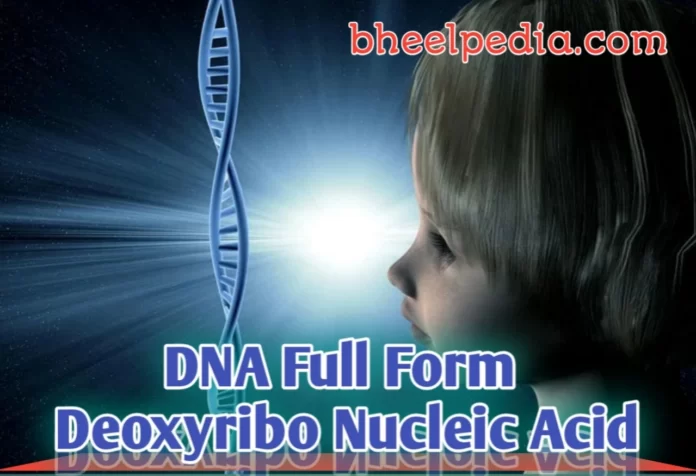 79 DNA Full Form in Hindi and English | डीएनए फुल फॉर्म हिंदी में