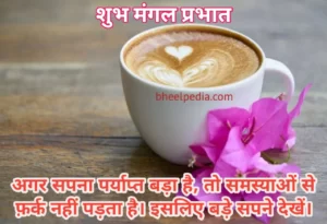 सुप्रभात सुविचार | Good Morning Quotes in Hindi